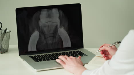 veterinarian reviewing horse x-ray