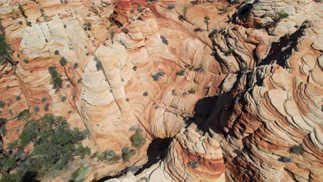 Vista-Aérea-A-Vista-De-Pájaro-De-Formaciones-Rocosas-De-Arenisca-En-El-Parque-Nacional-Zion,-Utah,-EE.-UU.