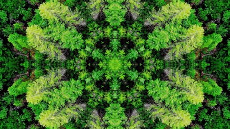 kaleidoscope forest trees ornament background.