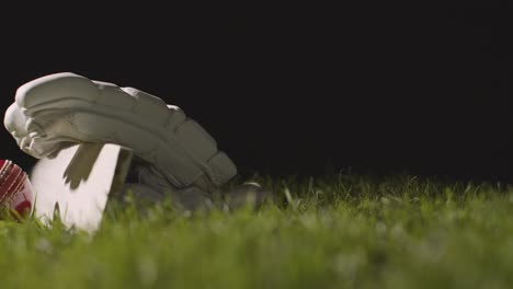 cricket still life with close up of bat ball and gloves lying in grass 3