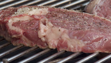 panorámica sobre filete de costilla chisporroteando en barbacoa en llamas en cámara lenta