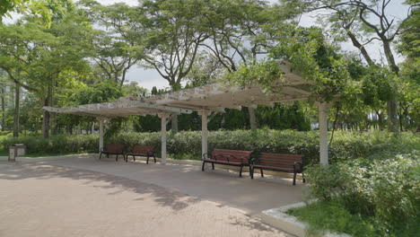 calm and peaceful left panning shot in a park in the middle of hong kong