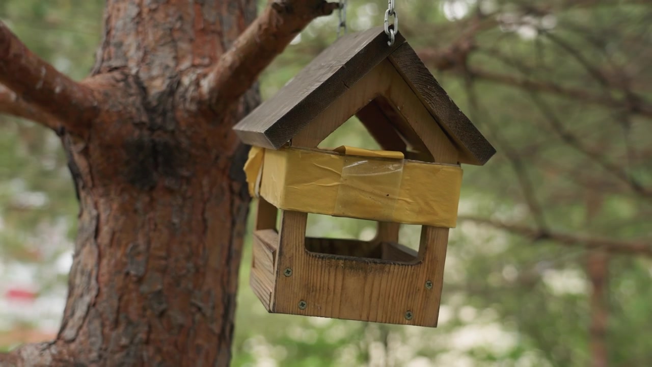Comedouro de pássaros de madeira pendurado em um galho de árvore em uma floresta