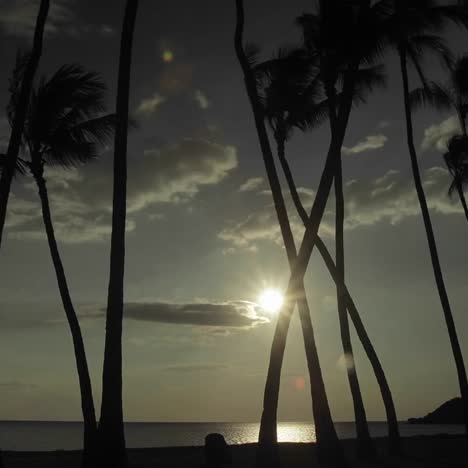 The-sun-or-moon-sets-behind-palm-trees-in-time-lapse