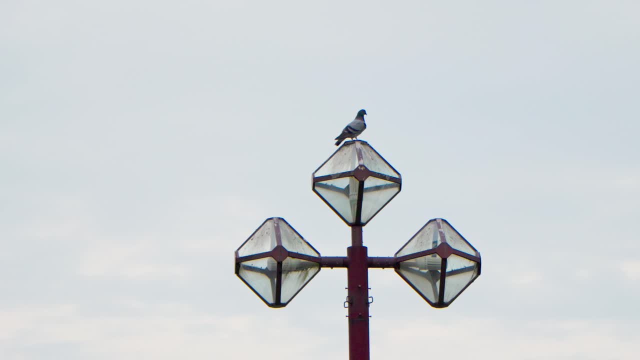 la mejor vista en yokohama