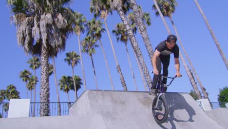 a bmx bike rider executes a high jump at a skatepark