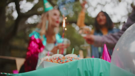 friends celebrating a birthday outdoors