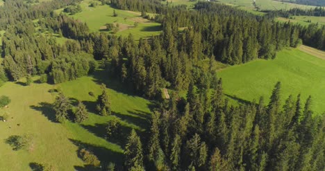 Flying-Over-The-Beautiful-Forest-Trees-Landscape-Panorama-5