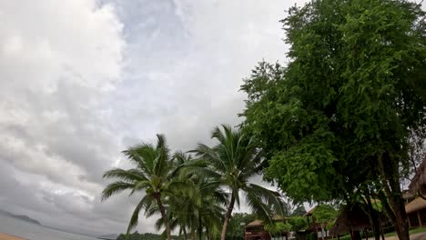 wide-angle camera pans slowly along a quiet sandy beach with coconut palms, hammock, and resort buildings under overcast skies at a thai island location