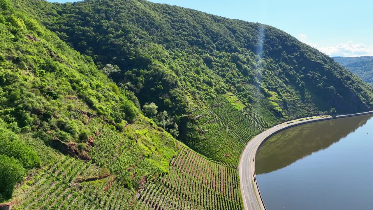 Panoramica collina vitata lungo un fiume.