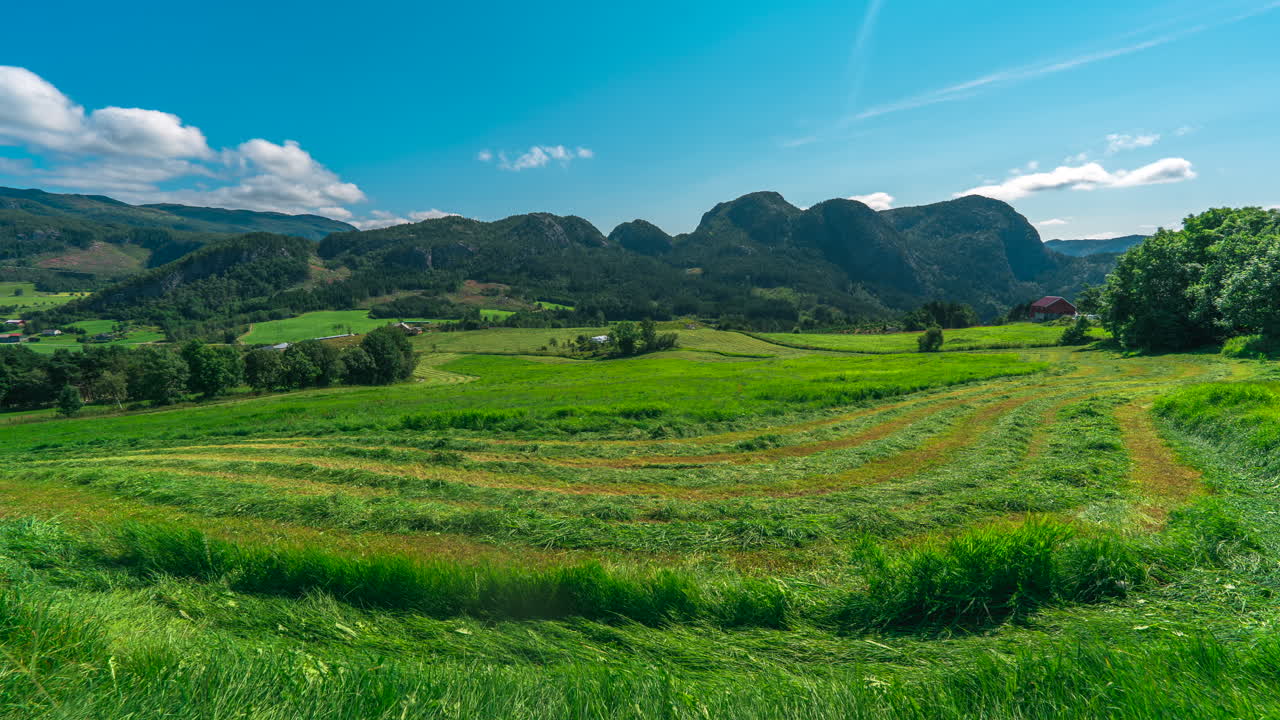 노르웨이 농장의 무성한 녹색 들판에서 사일리지 생산
