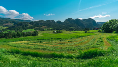 producción de ensilaje a partir de exuberantes campos verdes en una granja noruega.