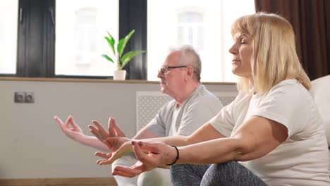 the senior couple adheres to the concept of a healthy lifestyle practicing fitness yoga at home the senior couple adheres to the concept of a healthy lifestyle practicing fitness exercises and yoga at home