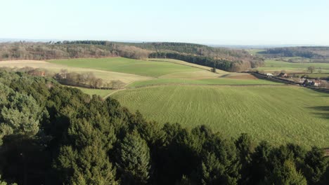 Revelación-Aérea-De-Paralaje-De-Las-Colinas-De-La-Campiña-Inglesa-Sobre-Un-Bosque-Verde-De-árboles-De-Navidad-De-Coníferas-En-La-Soleada-Mañana-De-Invierno