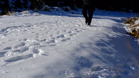 young man tracks on the snow