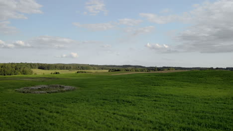 toma aérea en campo de hierba verde, pequeñas colinas y árboles en el horizonte, aera en el este de polonia