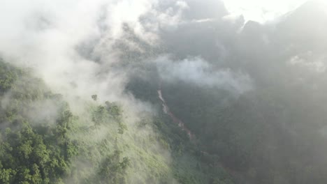 Drone-Shot-Pan-Up-Revela-La-Jungla-Brumosa-De-La-Montaña