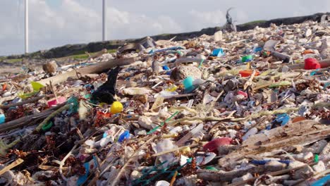 Slow-wide-pan-of-trash-littered-on-tropical-beach-on-summer-day