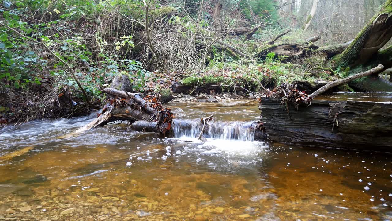 exuberante bosque que fluye cobre cascada río agua selva bosque desierto escena tranquila