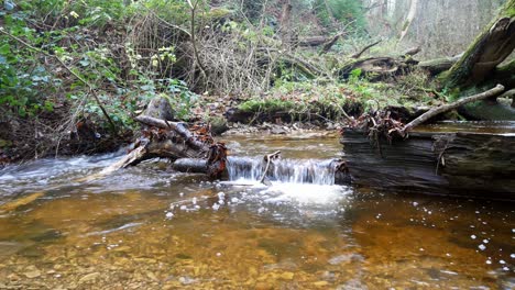 exuberante bosque que fluye cobre cascada río agua selva bosque desierto escena tranquila