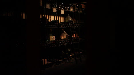 wine cellar with bottles and ladder