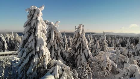 Welcome-to-winter-wonderland