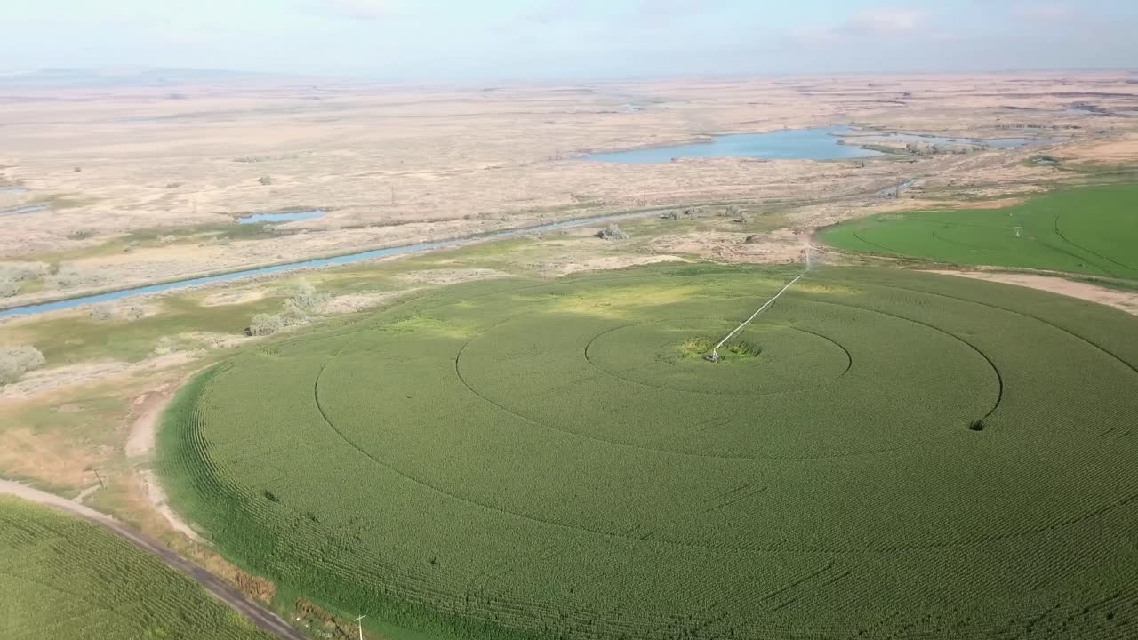 vista aérea pacífica de campos de maíz con sistemas de riego de pivote central en la cuenca de columbia del estado de washington oriental a fines del verano