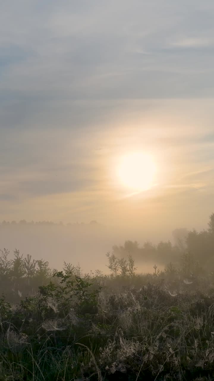 위 의 안개 가 가득 한 해가 뜨는 것