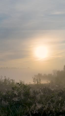 misty sunrise over a field