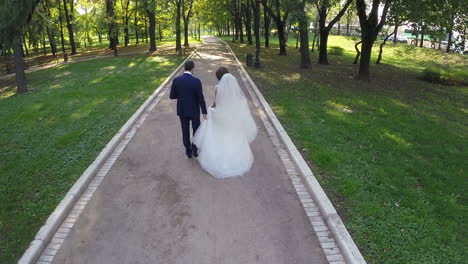 newly wedded couple walking in green park aerial view