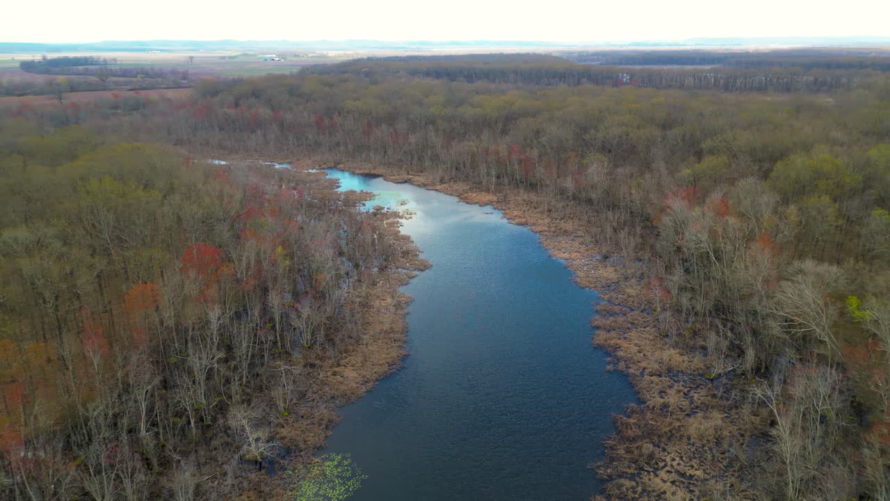 Et drone-overflyvningsbillede af cypresmoserne ved La Rue Pine Hills i Shawnee National Forest i det sydlige Illinois på en lys forårsdag. Træerne er lige begyndt at vise farver