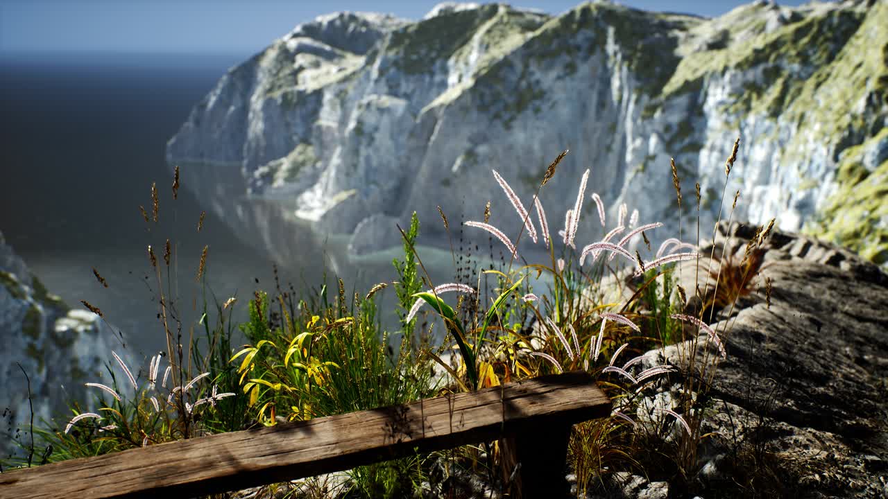 바다의 큰 바위 절벽에서 신선한 풀