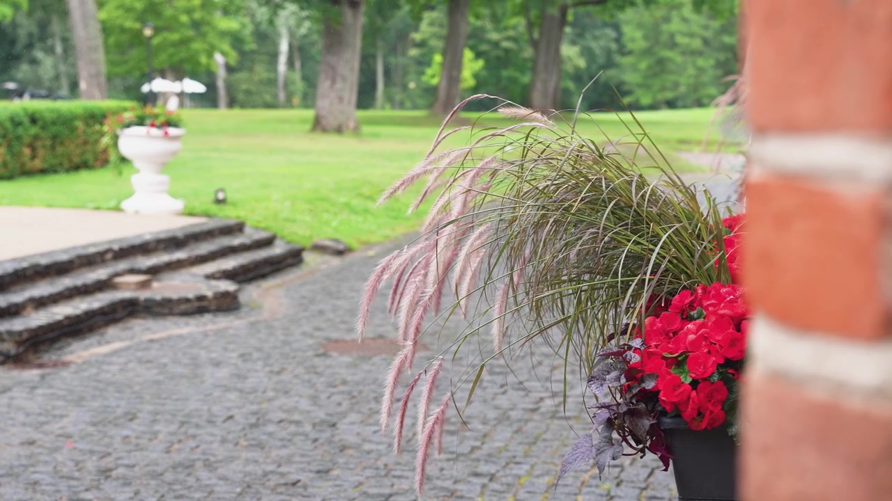 Nærbilde av røde blomster og prydgress i en potte ved en rustikk murvegg, med en brosteinsbelagt sti, steintrapper og en frodig grønn hage under mykt naturlig dagslys. Ingen personer er til stede.