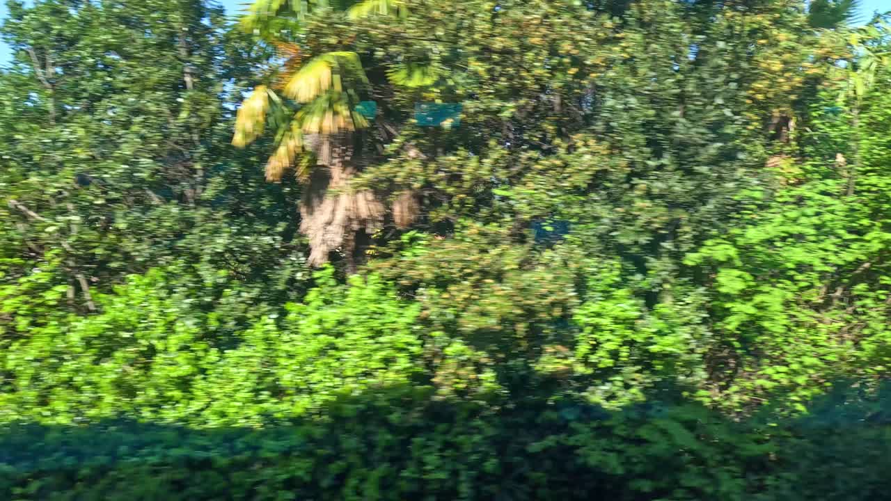 hermosas casas y exuberante vegetación cerca del lago como