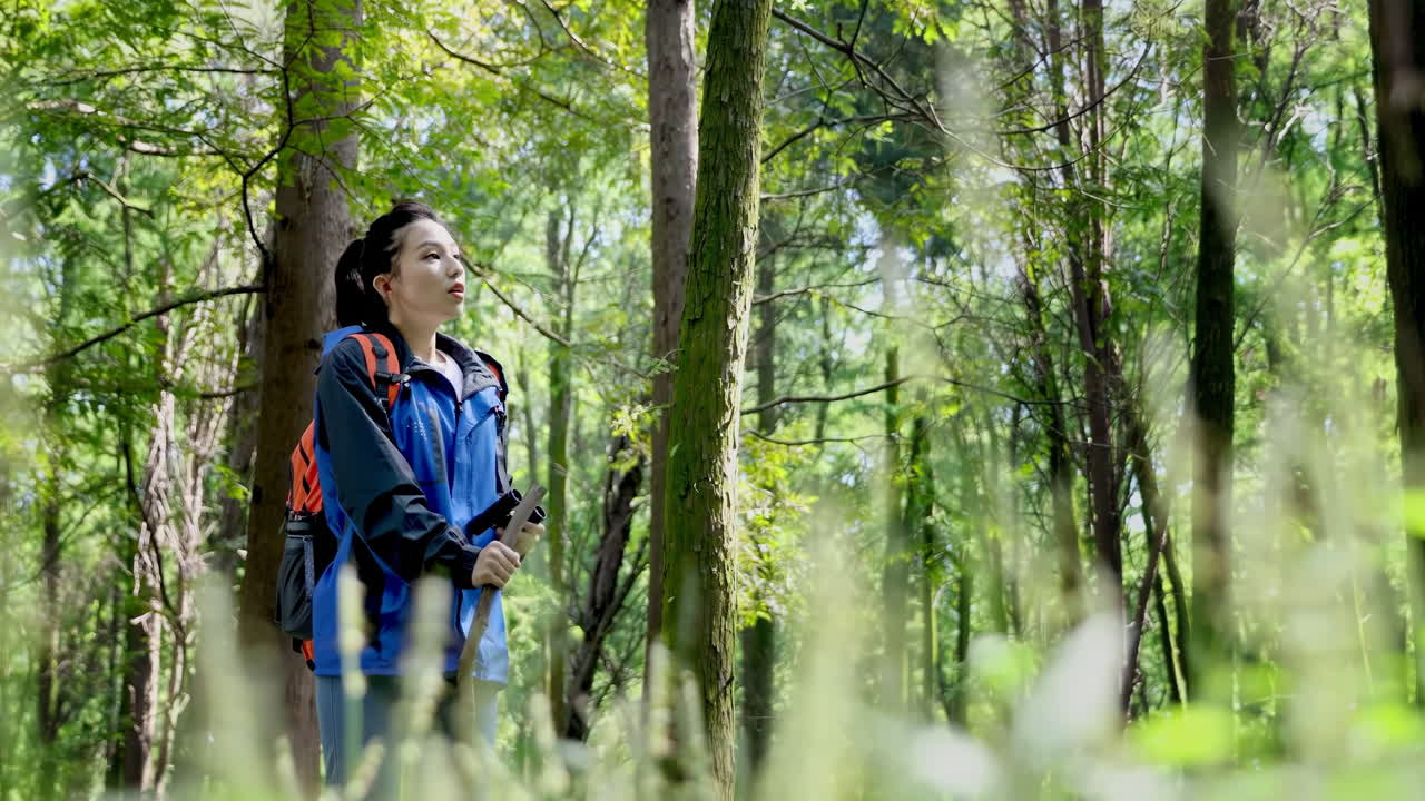 Jovem mulher cansada com equipamento esportivo fazendo trilha em uma floresta ou mata ao ar livre em aventura na selva com liberdade, caminhando sozinha pela mata e admirando a luz do sol na paisagem.