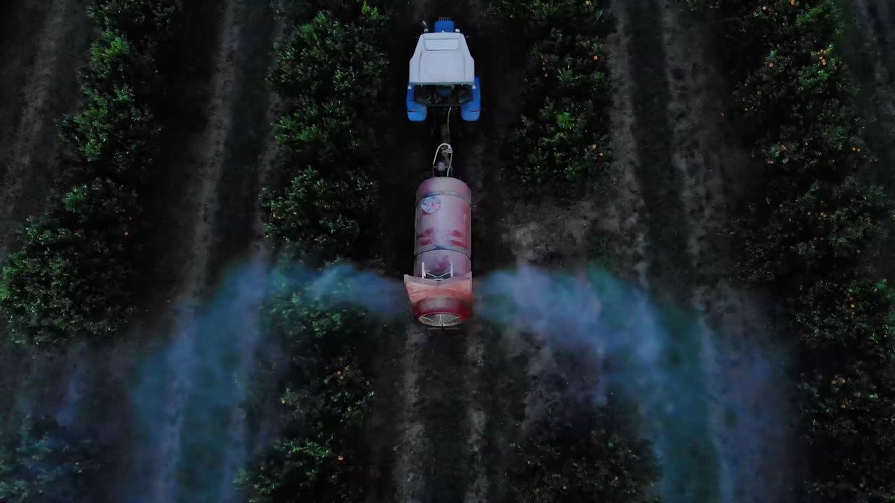 Agricultural tractor spraying herbicide on orange plantation in Brazil