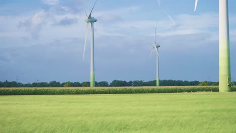 El-Fuerte-Viento-Envía-Olas-Sobre-La-Exuberante-Hierba-Verde.