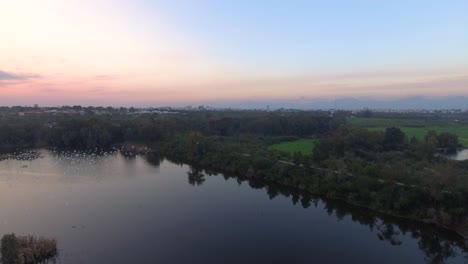 Flock-of-ducks-flying-over-lake-dam-in-Nicosia-Cyprus-late-in-the-afternoon