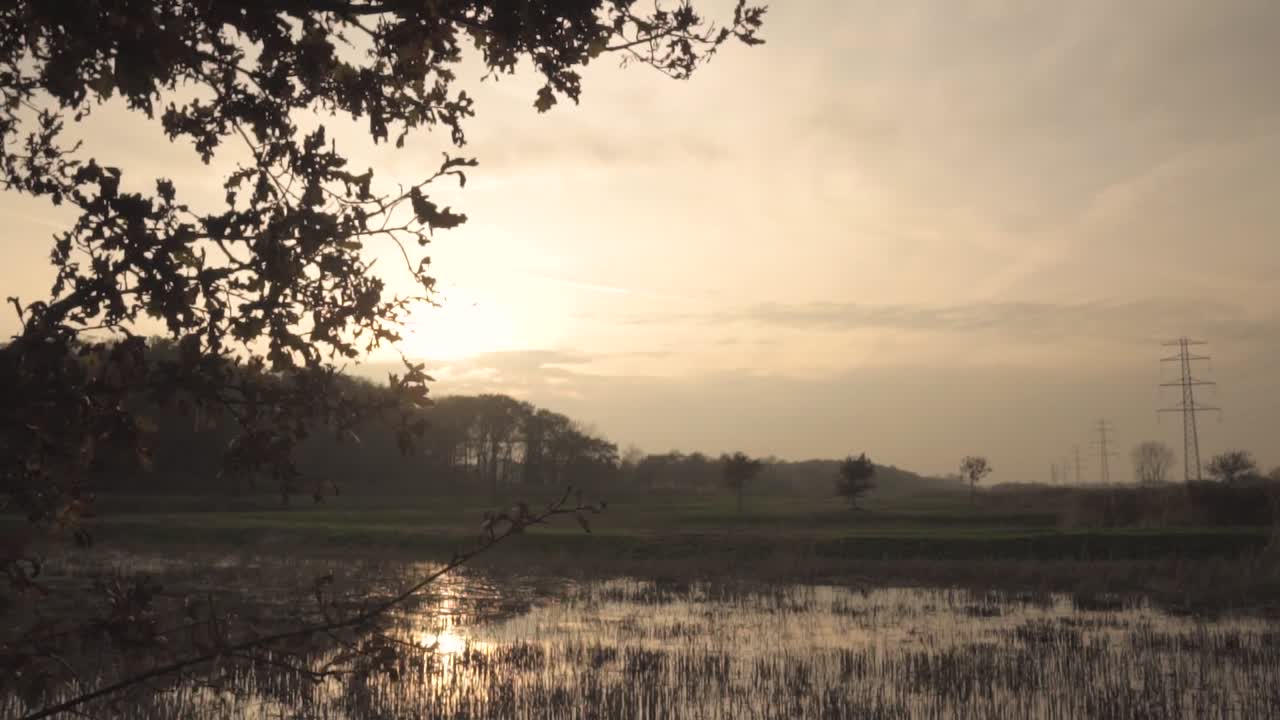 습지 풍경 위 의 일몰