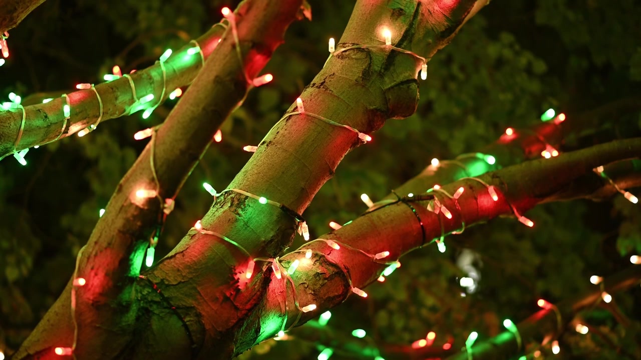 Blinkende røde og grønne julelys på trægrene og bokeh-effekt