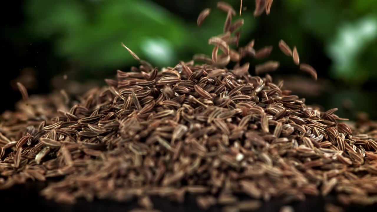 Cumin Seeds Falling in Slow Motion onto a Pile