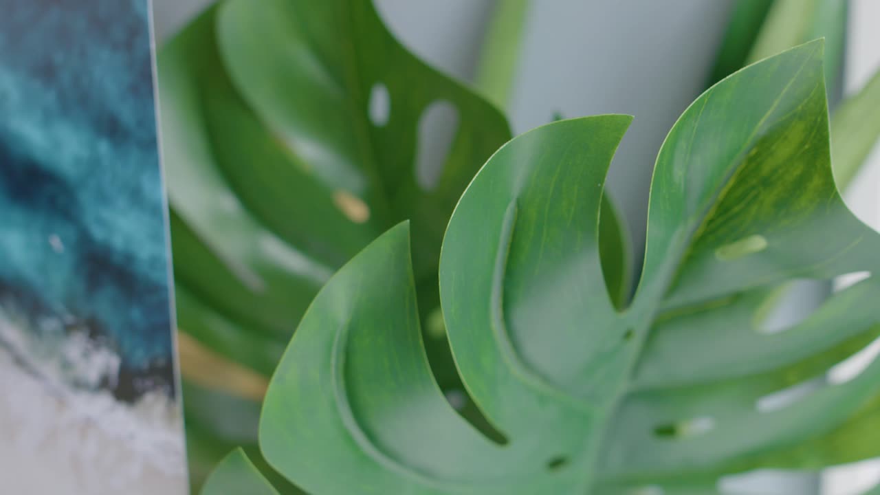 Green flower leaf decoration slide to focus