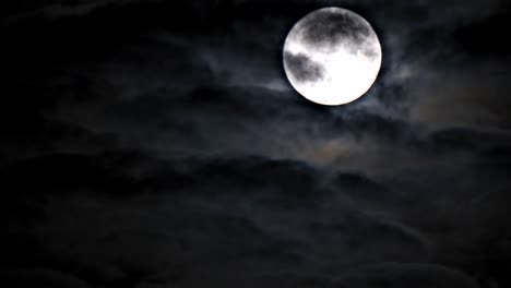 luna llena en fondo negro que ver los detalles en la superficie. mirar de nuevo es impresionante órbita lunar adecuada planeta tierra.