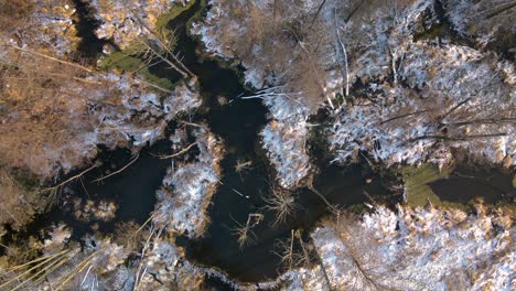 Vista-Aérea-De-Arriba-Hacia-Abajo-Zona-Pantanosa-Cubierta-De-Nieve-En-Invierno