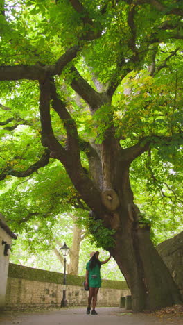 video vertical de una turista con cámara de vacaciones en oxford, reino unido, explorando la calle de la ciudad, caminando a lo largo del pasaje del cordero y la bandera, tocando un árbol.