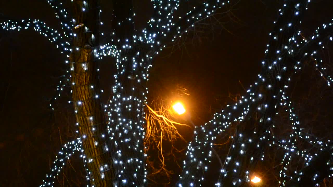 Immagine sfocata di luci accese su un albero di Natale