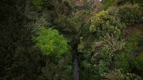 Epic-topdown-FPV-mountain-view-to-sea-waves,-cool-drone-movement,-Madeira,-Portugal