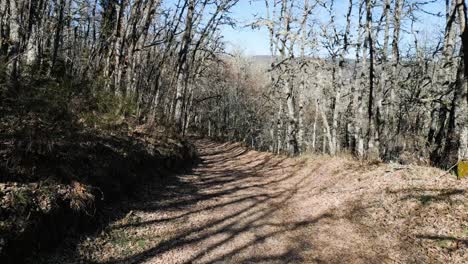 Dolly-along-grassy-leaf-covered-pathway-with-long-branch-shadows-from-oak-trees