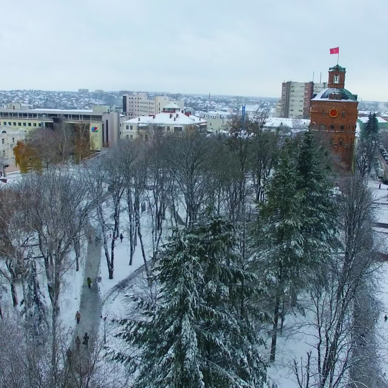 Mighty fir-trees and trees in snow in the city park. Old tower and multi-storied buildings at backdrop. Aerial view