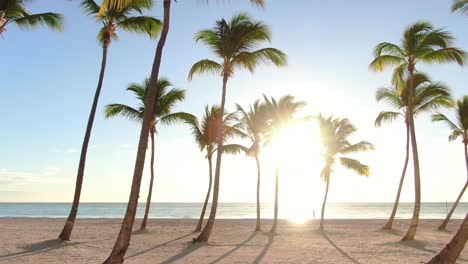 fantasy beach at sunrise, sunset, palm trees and blue ocean lagoon in dominican republic, exotic seascape in the caribbean sea, aerial dolly shot